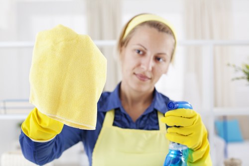 Bexley Carpet Cleaners delivering professional carpet cleaning results