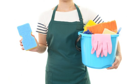 Accessible carpet cleaning statement introduction for Bexley Carpet Cleaners