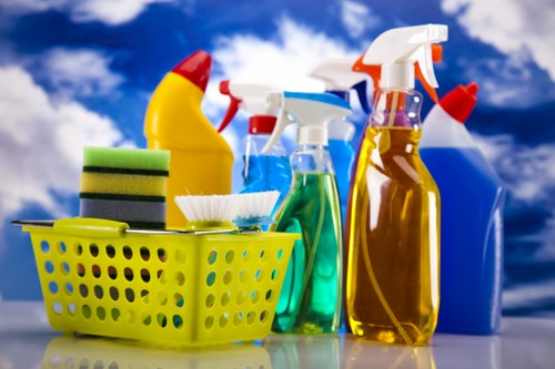 Enzyme cleaning process for pet urine stains in Bexley