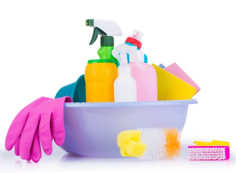 Clean carpet and upholstery after professional pet odour removal