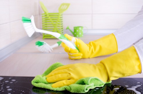 Screen reader-friendly web content for local carpet cleaning information