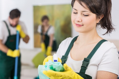 Accessibility request and ongoing improvement message for Bexley Carpet Cleaners