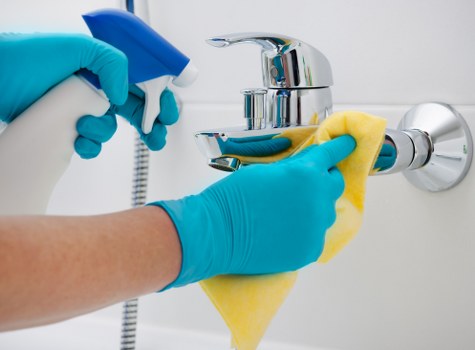 Deep cleaning upholstery affected by pet odour in Bexley