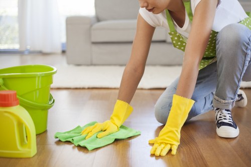 Cleaning appointment process and customer responsibilities illustration